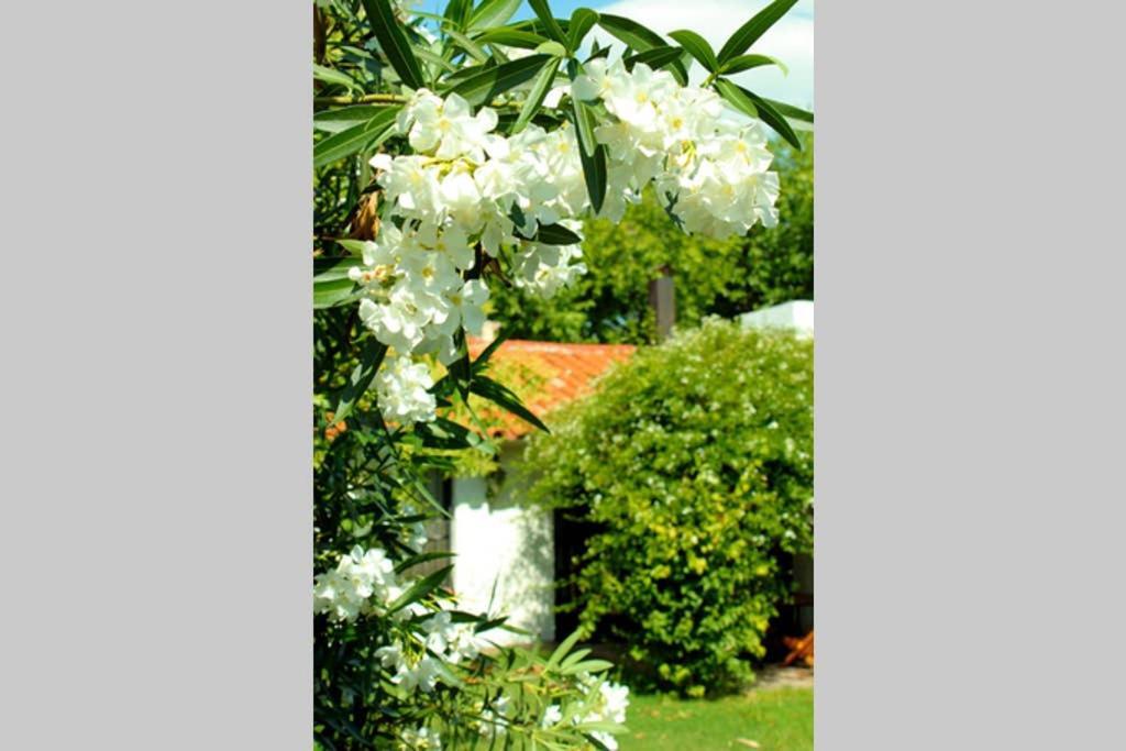 Big beautiful house with garden in 5ta Sección neighbourhood Vila Mendoza Exterior foto