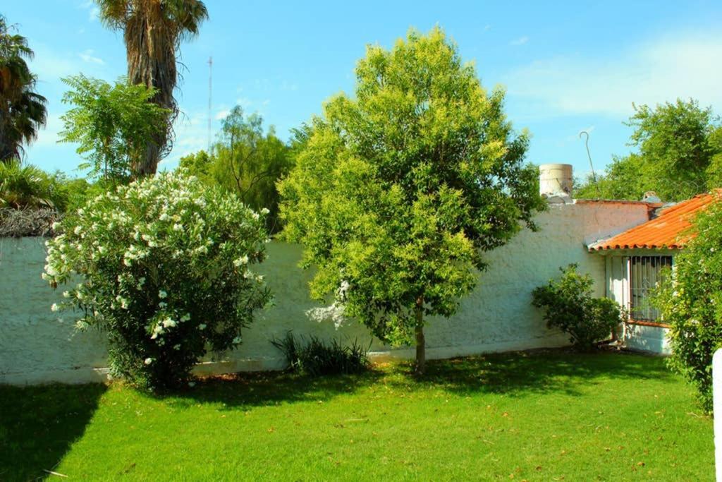 Big beautiful house with garden in 5ta Sección neighbourhood Vila Mendoza Exterior foto